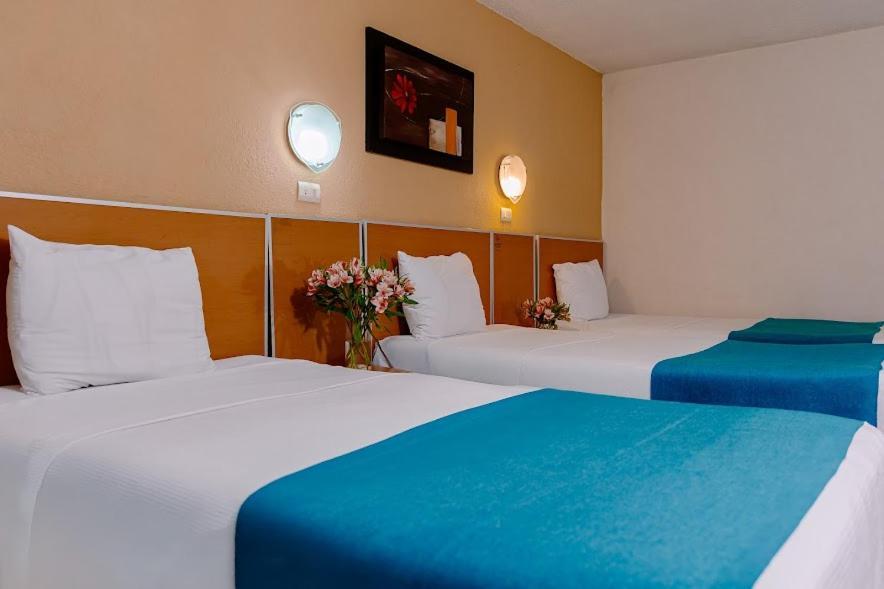 Hotel Kasa & 3*