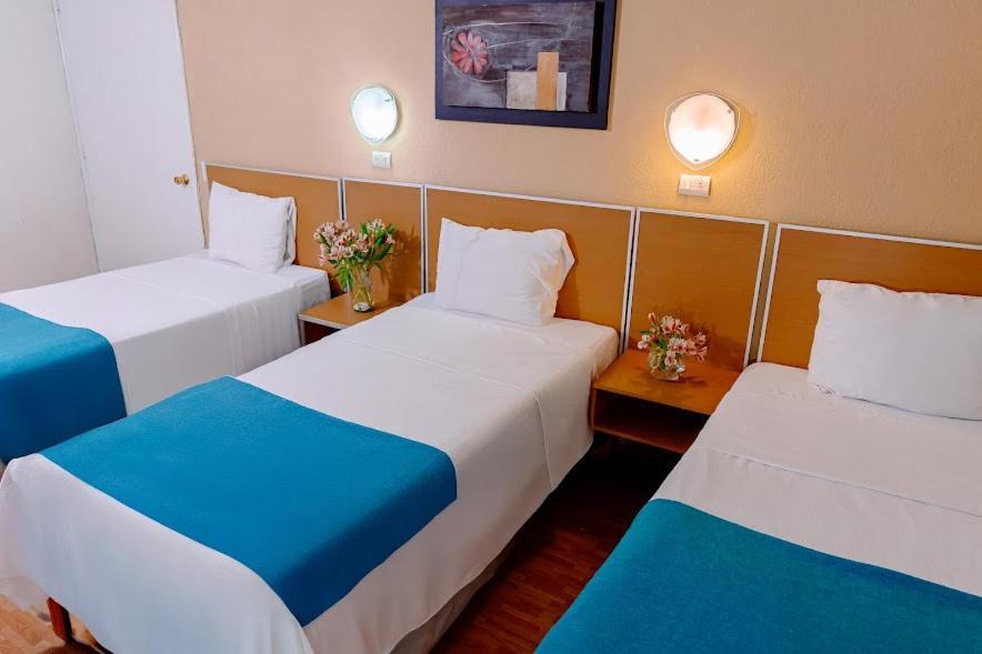 Hotel Kasa & Irapuato