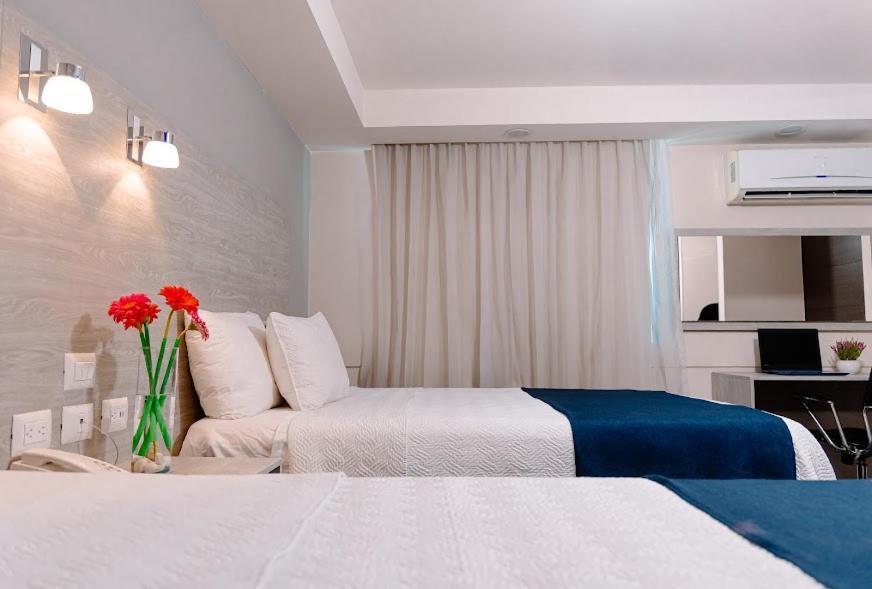 Kasa & Hotel Irapuato